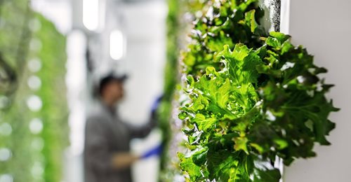 Indoor farming
