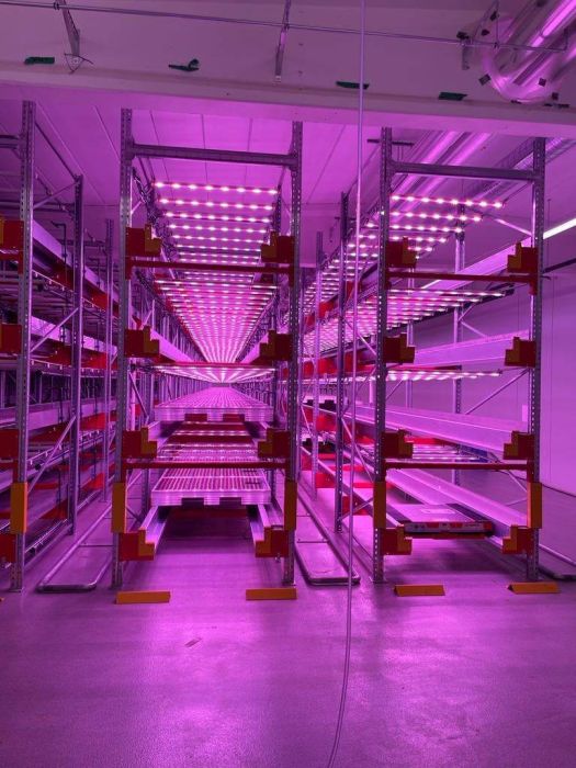 Vertical Farming