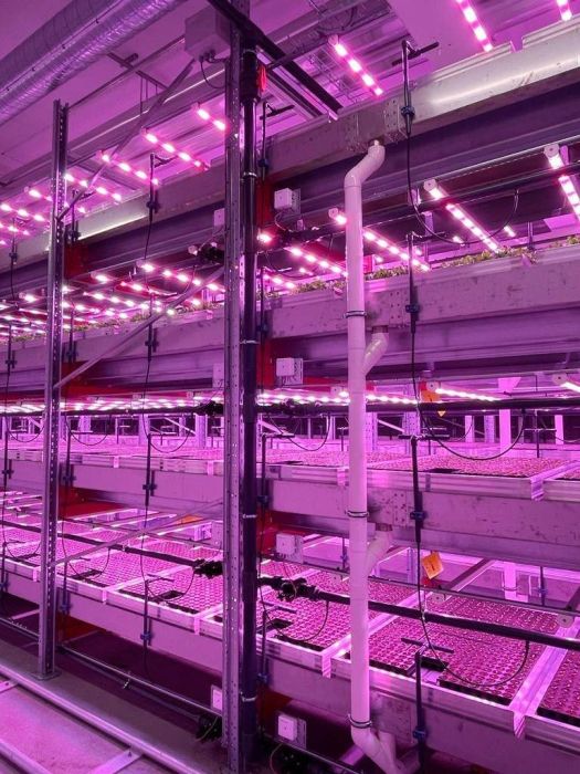 Vertical Farming